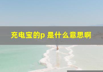 充电宝的p 是什么意思啊